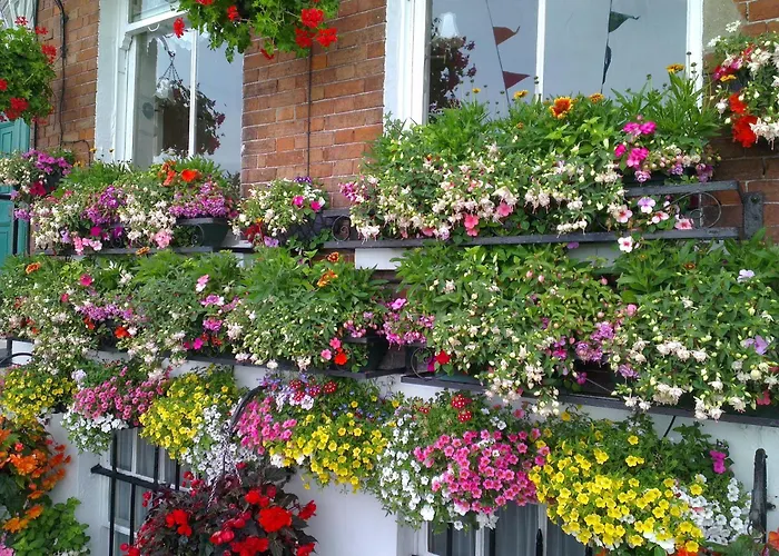 The Langham Bed & Breakfast Weymouth
